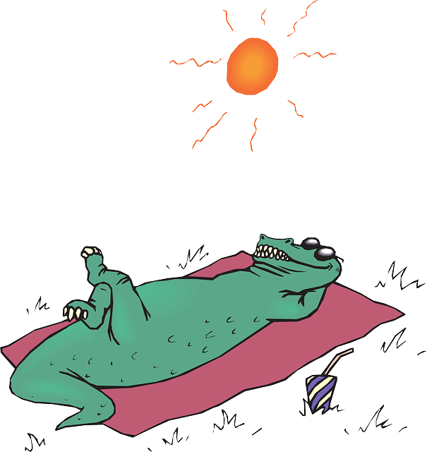 alligator relax
