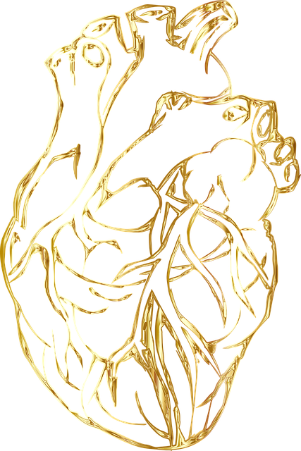 coeur humain