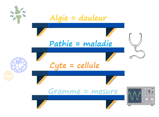 étagère suffixes